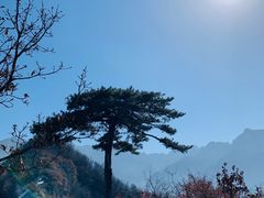 -秦岭终南山世界地质公园翠华山景区