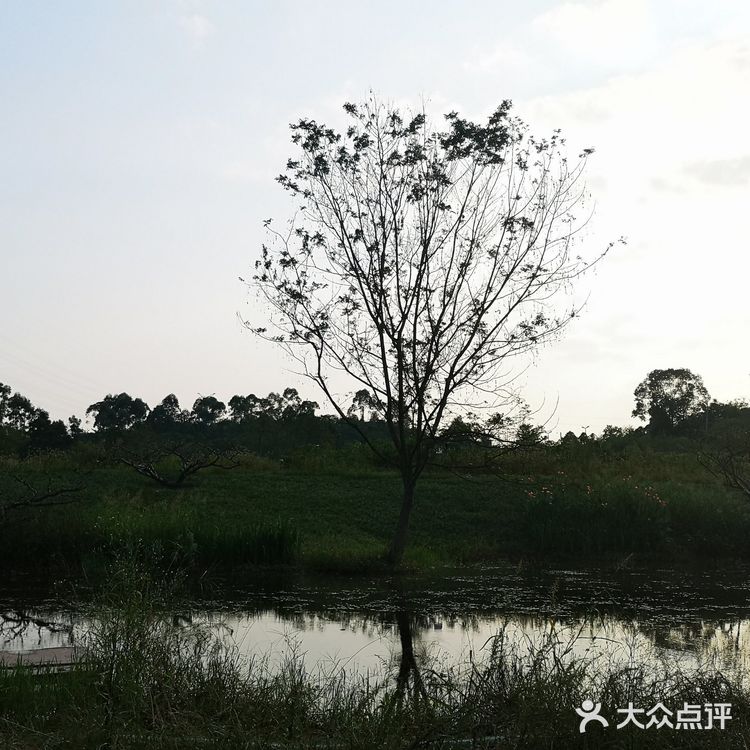 一场说走就走的金黄之旅