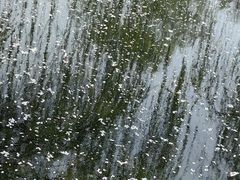 -海棠花溪(元大都城垣遗址公园)