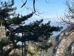 -庐山风景区花径公园