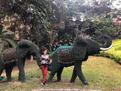 -西双版纳融创皇冠假日度假酒店