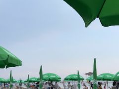 -碧海金沙