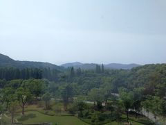 -太湖饭店玉兰厅(自助餐厅)