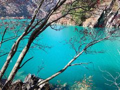 -叠溪松坪沟景区