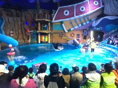 -烟台海昌鲸鲨海洋公园