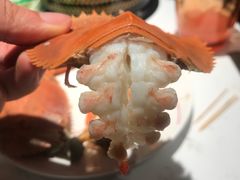 -加餐海鲜自助(宝龙一城店)