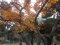 android_upload_pic-辽宁大学(崇山校区)