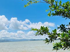 -深圳湾公园(南山区)
