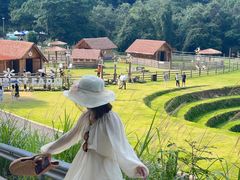 -龙岩森林水乡景区