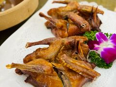 石岐乳鸽-轩记海鲜餐厅·四十五年老字号·经典粤菜(西区彩虹店)