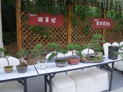 -中环禧悦酒店·禧临阁餐厅