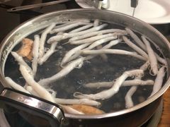 -凯华海鲜火锅·传承三十六年
