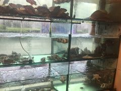 -合家小菜餐馆(新诚花苑店)