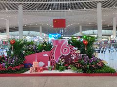-青岛胶东国际机场