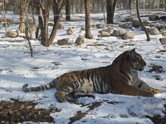 -北京野生动物园