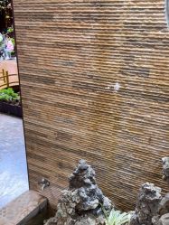 -小红帽摄影(丽江店)