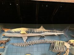 -浙江自然博物院(杭州馆)