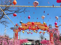 -北京凤凰岭