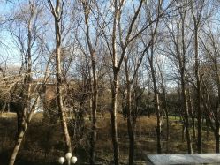 -皇家月府月子中心(沈阳店)