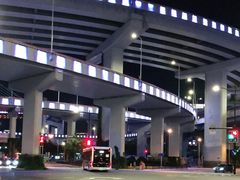 -新疆阿力烧烤