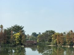 -海珠湖公园