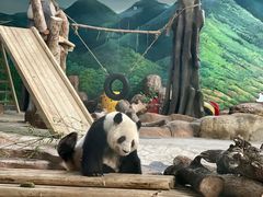 -南宁市动物园