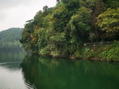 -江西阳明山国家森林公园