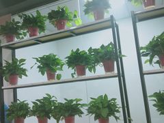 -皖北巫氏三胖地锅鸡(正大店)
