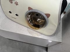 -贝利宠物医院·骨科·眼科·肿瘤转诊中心(南坪诊疗中心)
