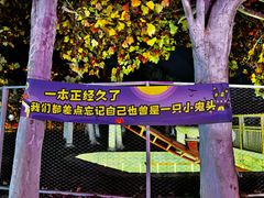 -郑州方特梦幻王国