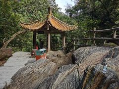 -鼎湖山风景区