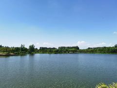 -东郊湿地公园