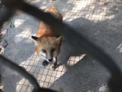 -南昌动物园