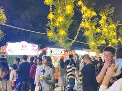 -光明港公园
