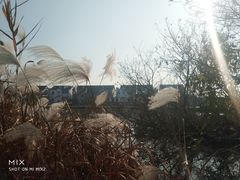 -高旻寺