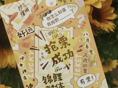 -猫的天空之城概念书店(大学路店)