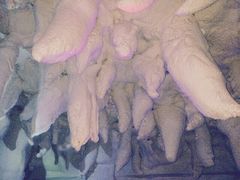 -清水洞汤泉(嘉陵江西路店)