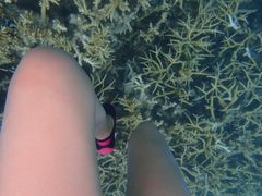 -蓝湾海滩
