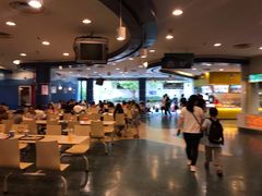 -上海海洋水族馆