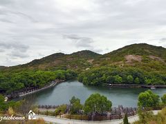 -白马涧龙池景区