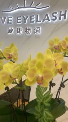 -爱睫物语·疗愈美睫美甲