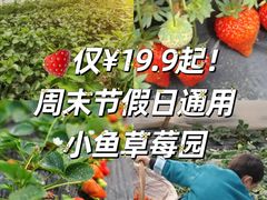 -小鱼草莓采摘园农家乐·小鱼餐厅