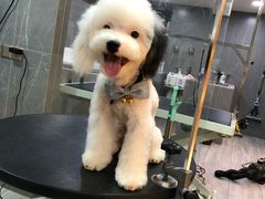 -悠尼宠物·独立低压伊珊娜洗护·美容·寄养(兰谷路店)