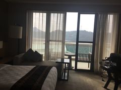 -河源万绿湖美思威尔顿酒店