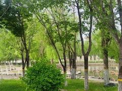 -廊坊市自然公园