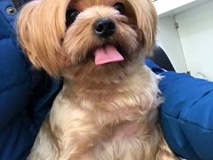 -宠颐生中康贝怡动物医院