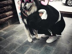 -浔岚云舍mist静谧观景美宿(丽江古城店)