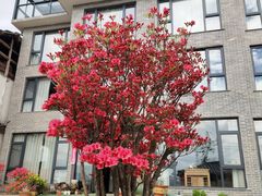 -藏龙百瀑风景区