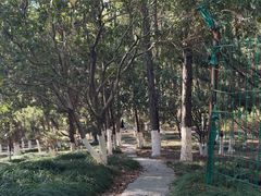 -桐乡植物园