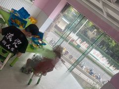 -乐博乐博少儿编程·机器人编程·信息学竞赛(杨浦五角场校区)